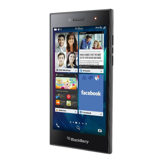 Blackberry Leap Handbücher