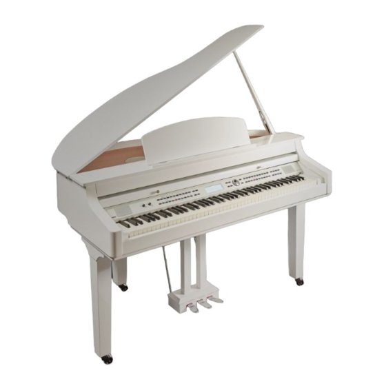 thomann DP-275 GP BP Bedienungsanleitung
