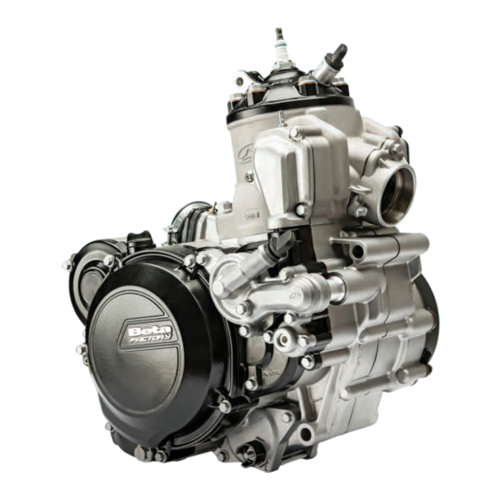 Beta 250 2T Werkstatt-Handbuch
