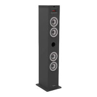 Bigben TW12CD Bedienungsanleitung