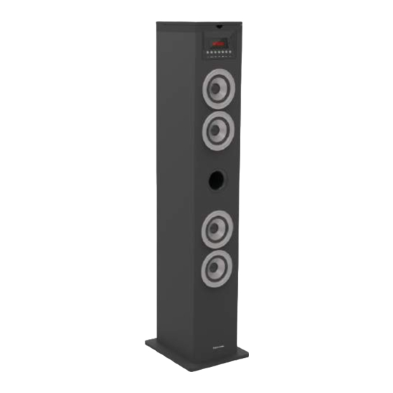 Bigben TW12CD Bedienungsanleitung