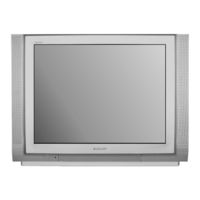 Panasonic TX-29PM1F Bedienungsanleitung