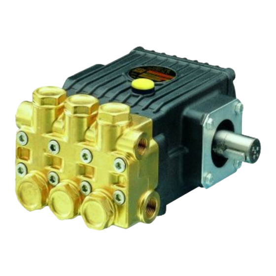 Interpump Group 50 Serie Bedienungsanleitung