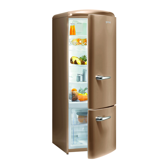 Gorenje RK60319O Gebrauchsanweisung