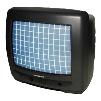 Grundig P 37-070 P 37-730 text/ICN Bedienungsanleitung