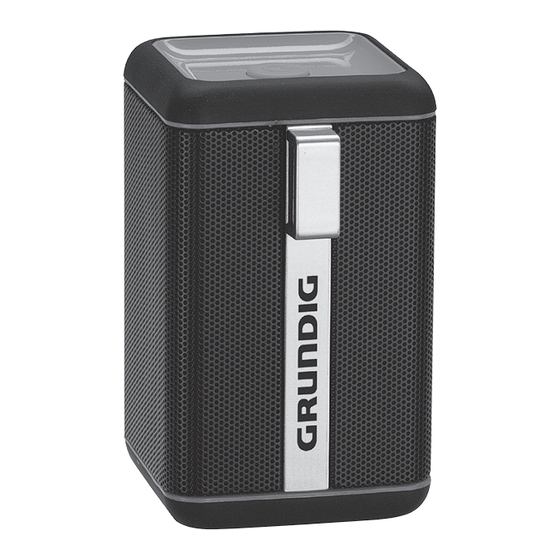 Grundig GSB 110 Handbuch