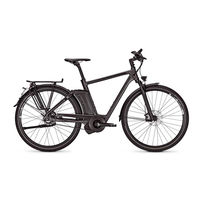 Raleigh IMPULSE EVO Originalbetriebsanleitung
