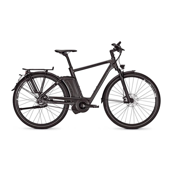 Raleigh IMPULSE EVO Originalbetriebsanleitung