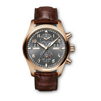 Iwc Spitfire Perpetual Calendar Digital Date-Month Bedienungsanleitung