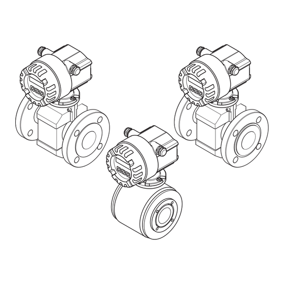 Endress+Hauser Proline Promag 10 Kurzanleitung