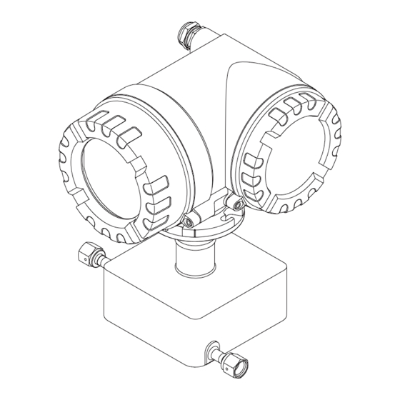 Endress+Hauser Cubemass DCI Handbuch