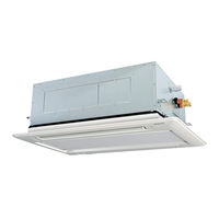 Hitachi RPFI Technisches Handbuch