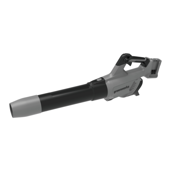 GreenWorks GD24X2AB Bedienungshandbuch