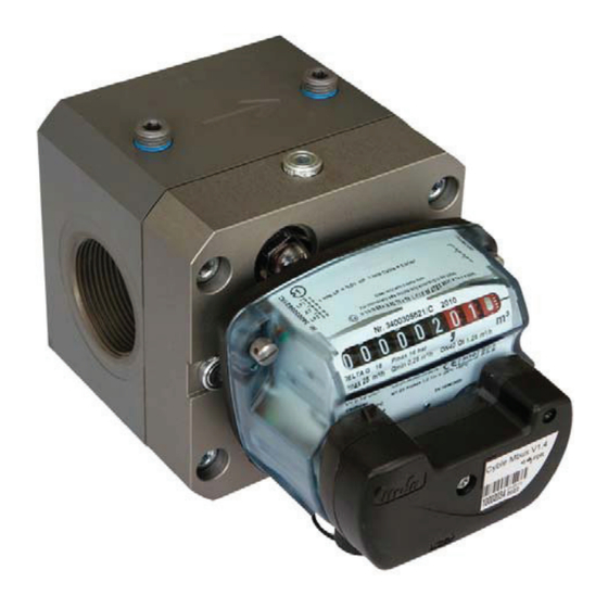 ITRON Quantometer Delta QD series Betriebsanleitung