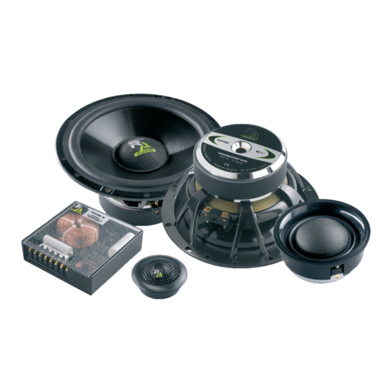 RA Audio RA13.2 Bedienungsanleitung