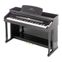 Hemingway DP-701 MKII Bedienungsanleitung