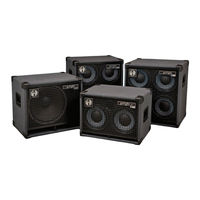 SWR Marcus Miller golight 4x10 Bedienungsanleitung