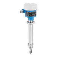 Endress+Hauser Liquiphant FTL64 Technische Information