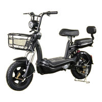 E.F.O EV250 Bedienungsanleitung