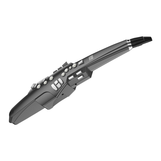 Roland Aerophone AE-10 Bedienungsanleitung