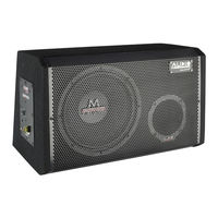 Audio System M10 ACTIVE Anleitung