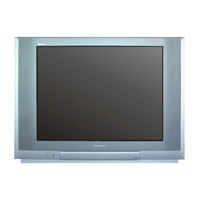 Panasonic TX-29PX10M Bedienungsanleitung