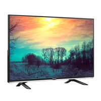 Panasonic TX-40DS400E Bedienungsanleitung