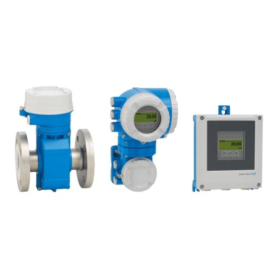 ENDRESS+HAUSER PROLINE PROMAG P 500 HART BETRIEBSANLEITUNG Pdf