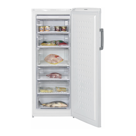 Beko FS225300 Bedienungsanleitung