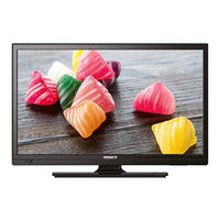 Antares TV2213 Bedienungsanleitung