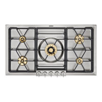 Gaggenau VG 295 Gebrauchsanweisung