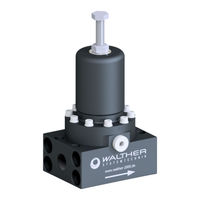 Walther Systemtechnik WMDR-50-01 Einbauanleitung