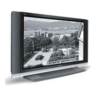 Panasonic TH-65PV500E Bedienungsanleitung