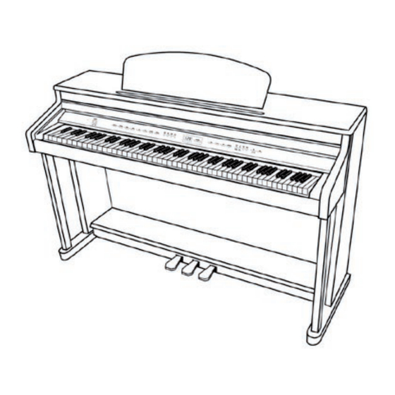 Steinmayer DP-260 Benutzerhandbuch