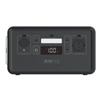 BLUEPALM BP-300OK Bedienungsanleitung