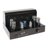 DynaVox VR-20 Bedienungsanleitung
