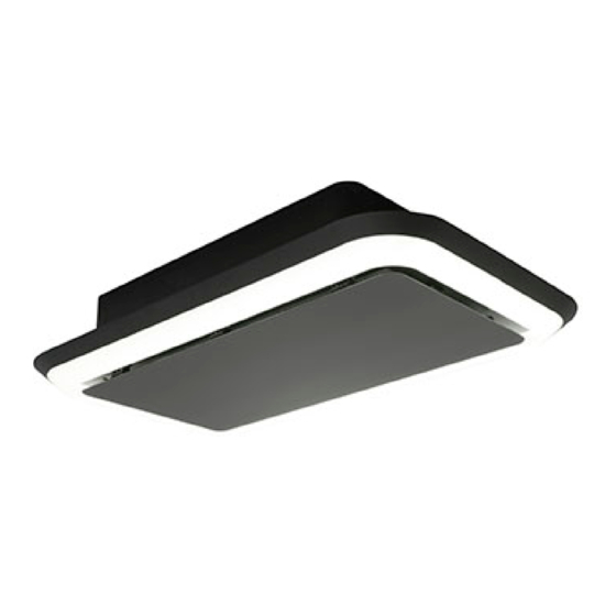 Silverline SLUD 100 W Bedienungs- Und Montageanleitung