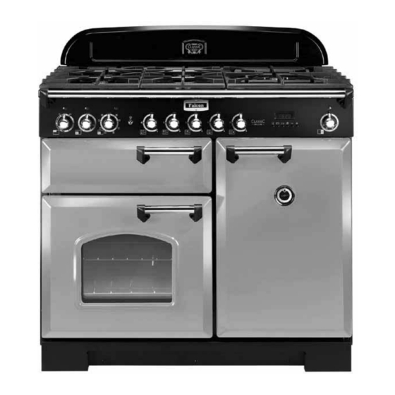 Falcon CLASSIC 100 DELUX Gebrauchsanleitung