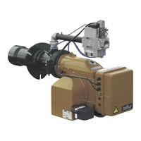 baltur BGN 120 LX-V Betriebsanleitung