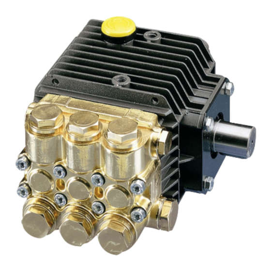 Interpump Group W1507 Bedienungsanleitung
