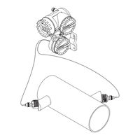 Endress+Hauser prosonic flow DDU 15 Betriebsanleitung