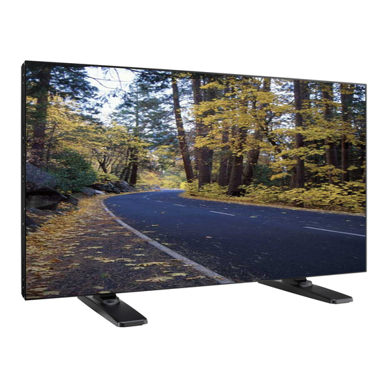 ViewSonic VS13512 Bedienungsanleitung