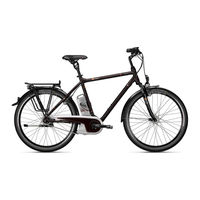 Derby cycle Pedelec Originalbetriebsanleitung