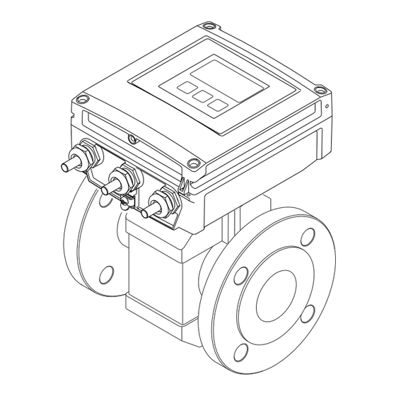 Endress+Hauser Proline Promag L 400 EtherNet/IP Betriebsanleitung