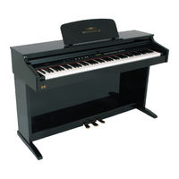 Hemingway DP500 Bedienungsanleitung