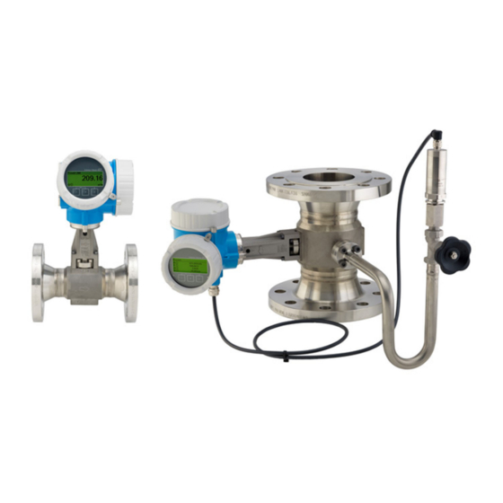 Endress+Hauser Proline Prowirl F 200 Kurzanleitung