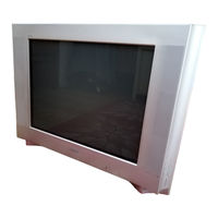 Sony Trinitron KV-29CS60B Bedienungsanleitung