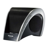 Panasonic SC-SP100EG Bedienungsanleitung