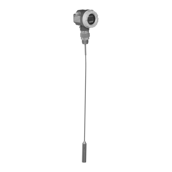 Endress+Hauser Levelflex M FMP40 Technische Information