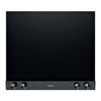 Gaggenau VI 262 120 Gebrauchsanleitung